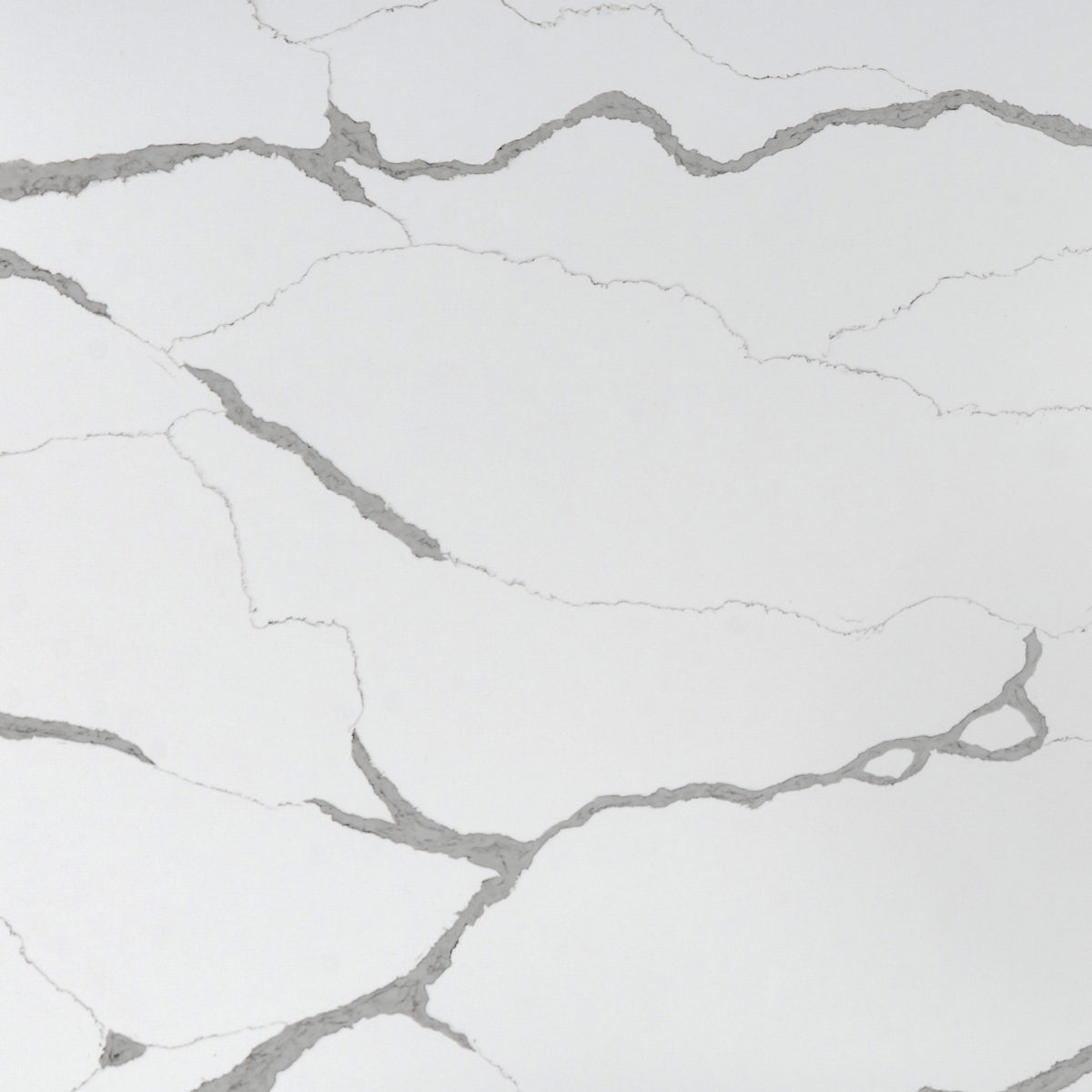 Calacatta Venato Quantum Quartz Close Up
