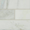 Arabescato Carrara Subway Tile 4×12