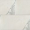Calacatta Gold Subway Tile 6×12