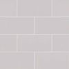 Gray Glossy Subway Tile 3×6