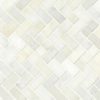 Greecian White Herringbone Pattern