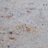 Sahara Desert Granite