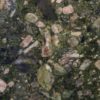 Verde Marinace Granite