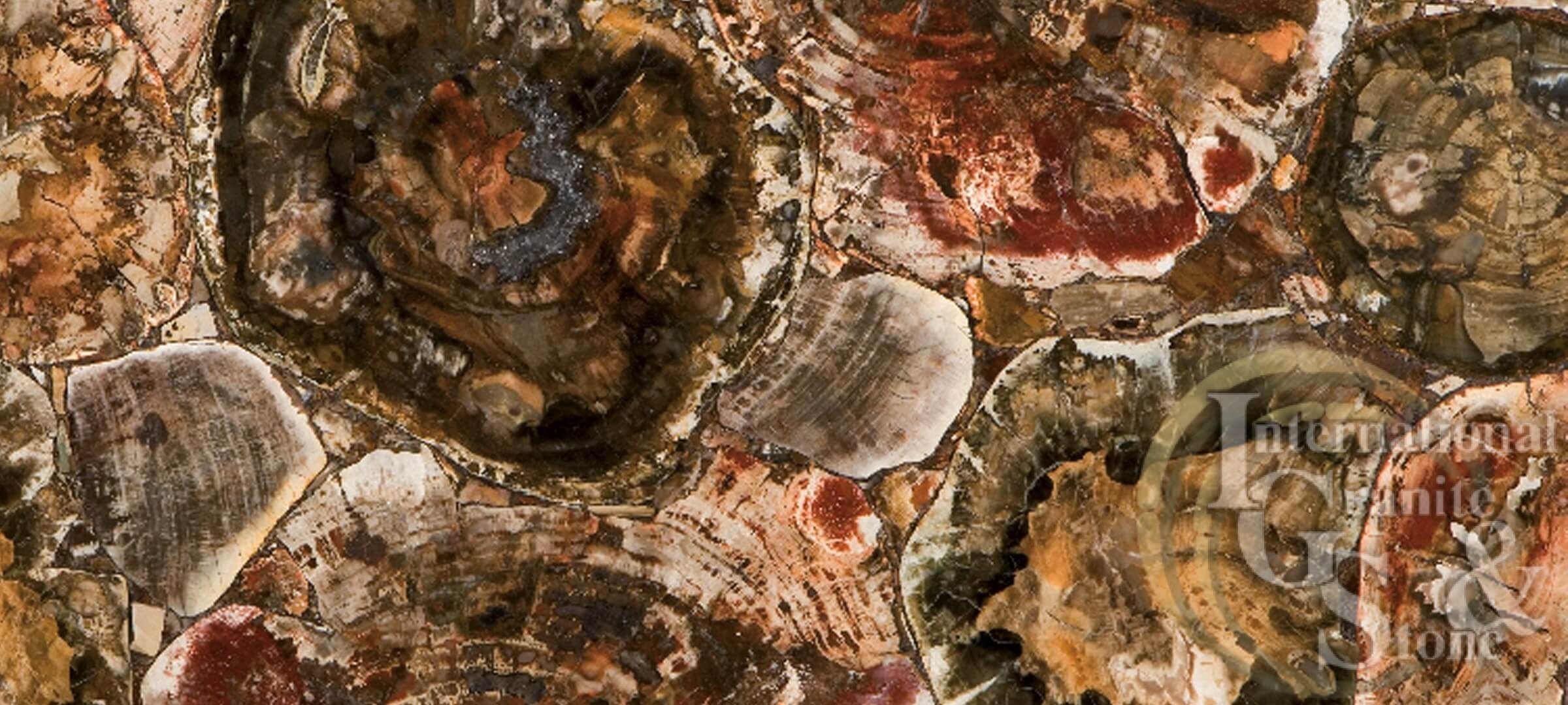 Caesarstone Albero Quartz