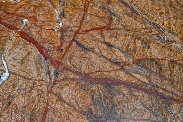 Rainforest Brown Granite