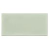 Daltile Retrospace RS34 3x6 Succulent Green