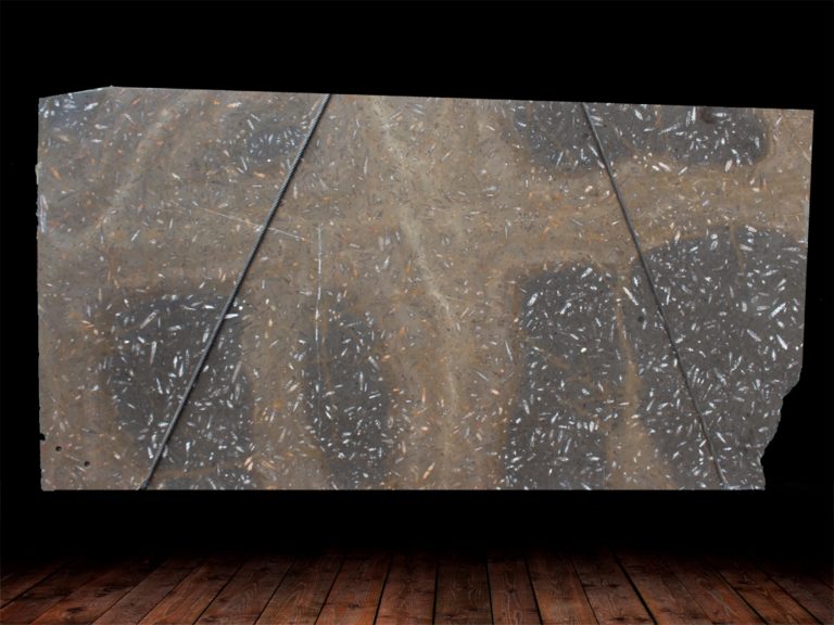 JURASSIC BROWN LEATHER FINISH MARBLE