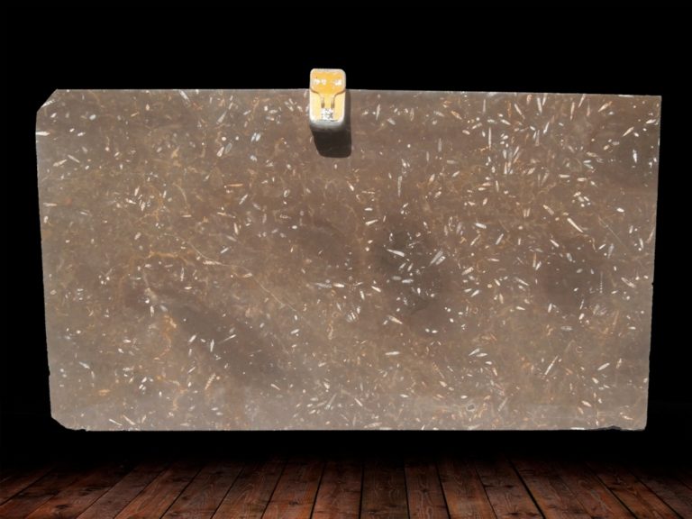 JURASSIC BROWN POLISHED MARBLE