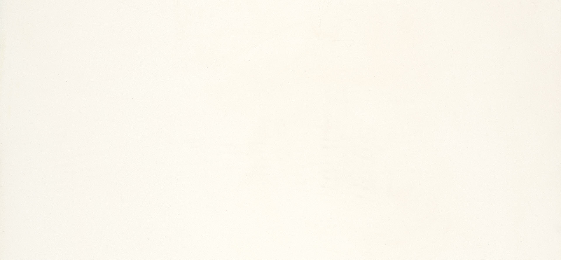 Vivid White Caesarstone Quartz Full Slab