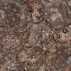 Albero Caesarstone Quartz