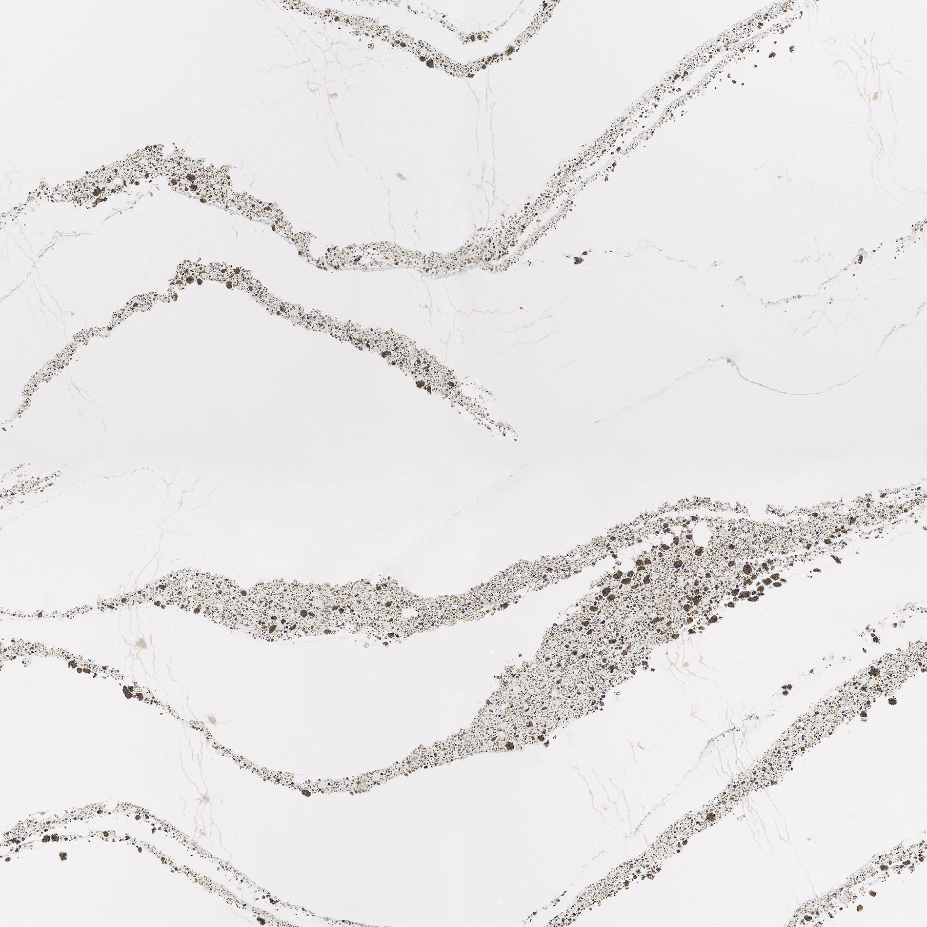 Annicca Cambria Quartz