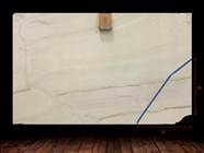Bianco Lasa Vena Oro Marble