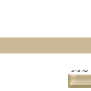 Daltile Color Wave CW06 2x12 Tango Tan