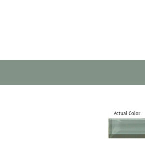 Daltile Color Wave CW16 2x12 Oak Moss