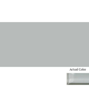 Daltile Color Wave CW17 3x6 Smoked Pearl