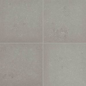 Daltile Anchorage Light Grey AC06-7553