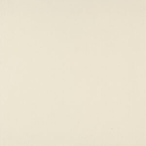 Daltile Exhibition Stark White