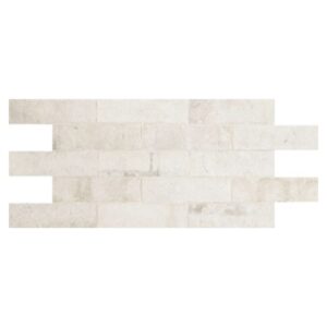 Daltile Brickwork BW01 2x8 Studio