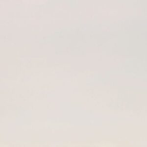 Igloo White LG Viatera Quartz
