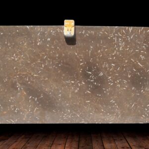 Jurassic Brown Polished Marble