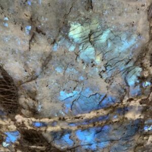 Lemurian Baobab Granite