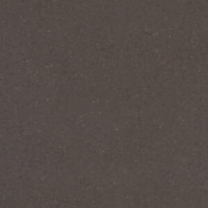 Raven Caesarstone Quartz
