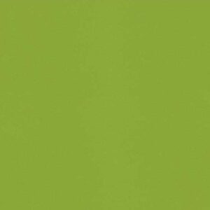 Green Fun Silestone Quartz