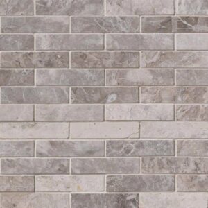 Tundra Gray 1x4 Polished