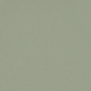 Posidonia Green Silestone Quartz