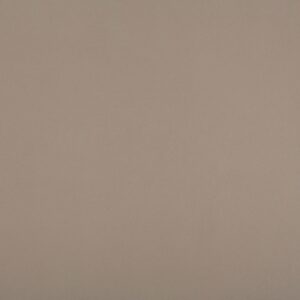 Lena Silestone Quartz