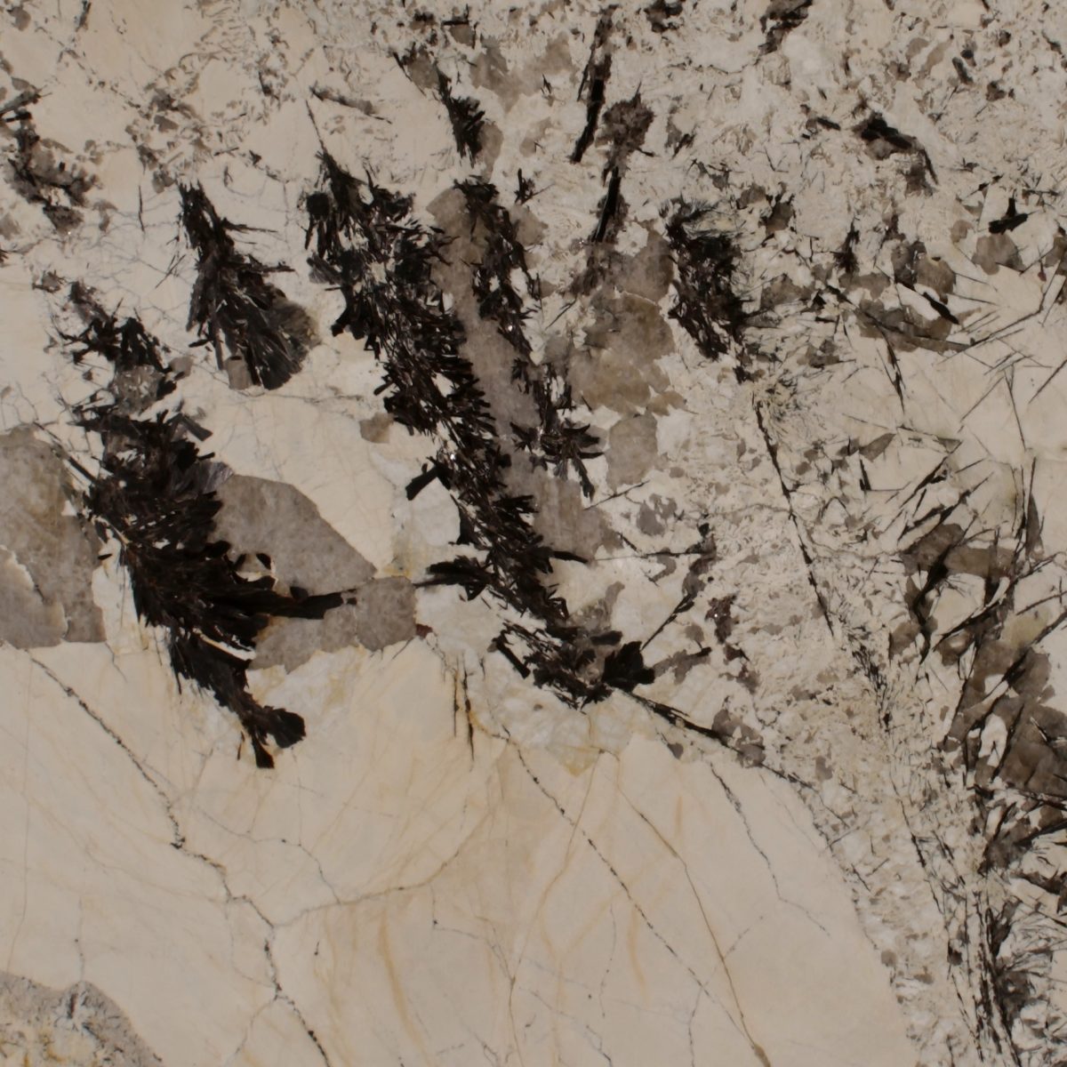 Grand Delicatus Granite Slab