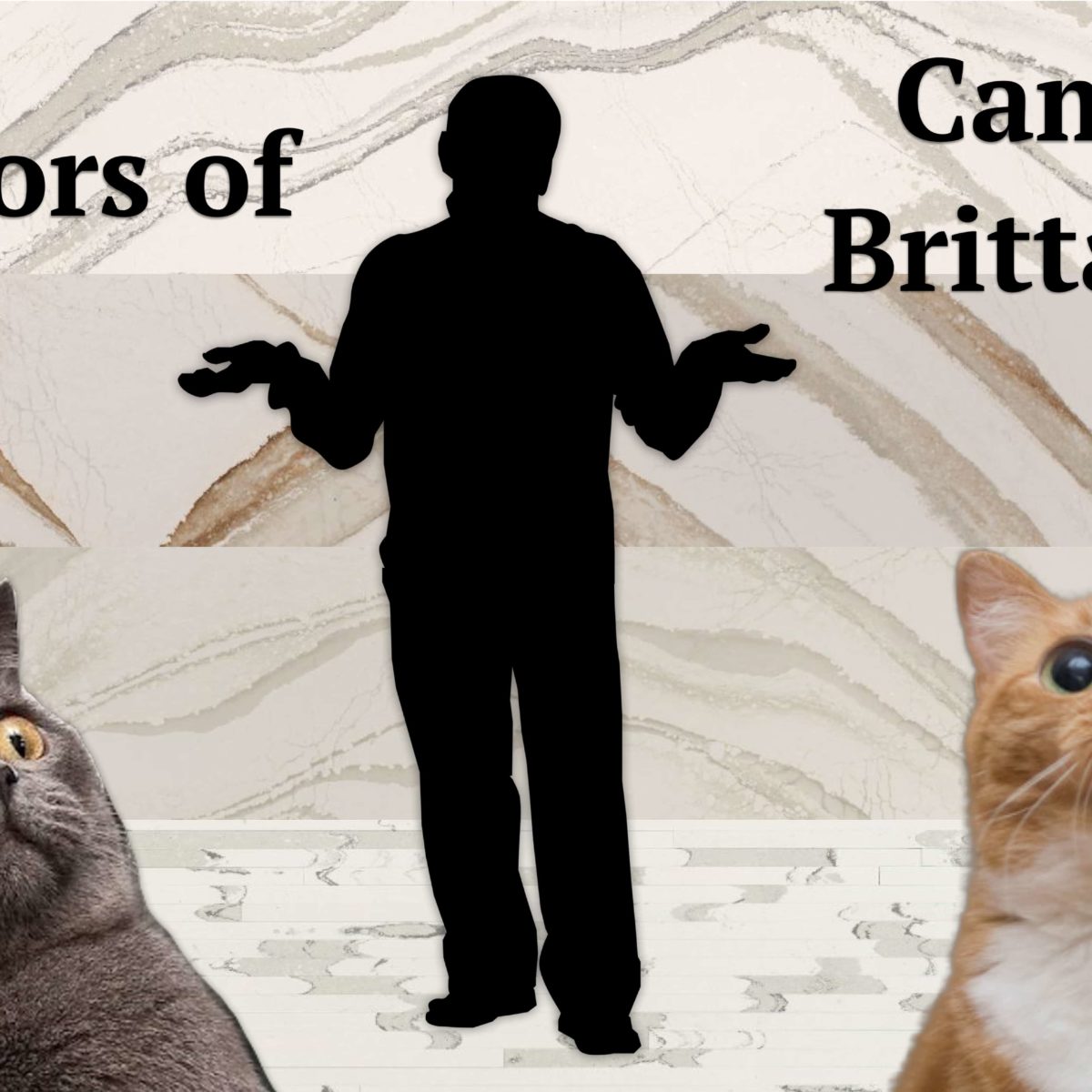 4 Colors of Cambria Brittanicca Video Cover
