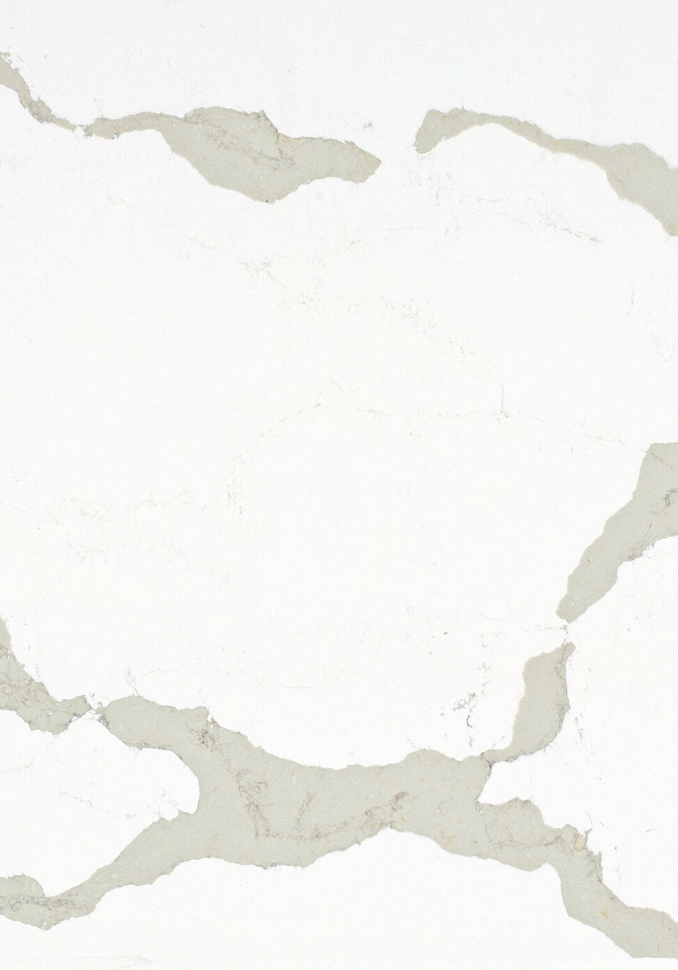 Calacatta Maximus Caesarstone Quartz