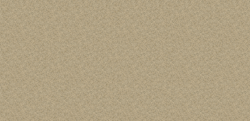 Bamboo Silestone Quartz Full Slab