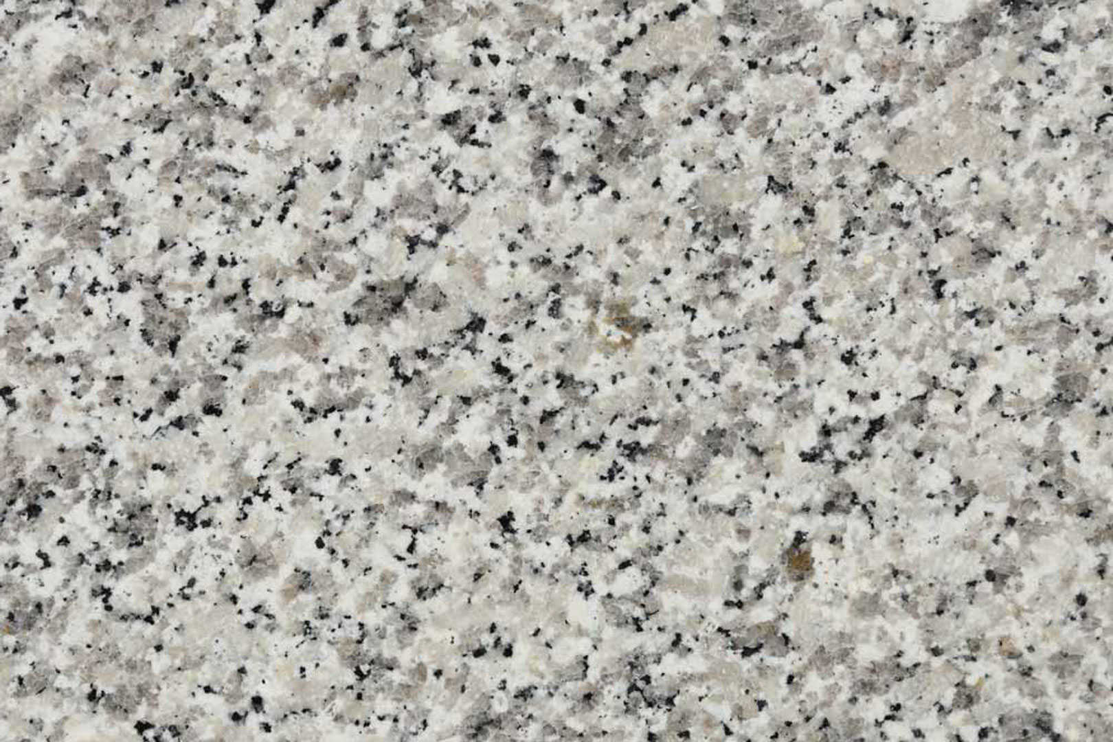 Bianco Sardo Granite