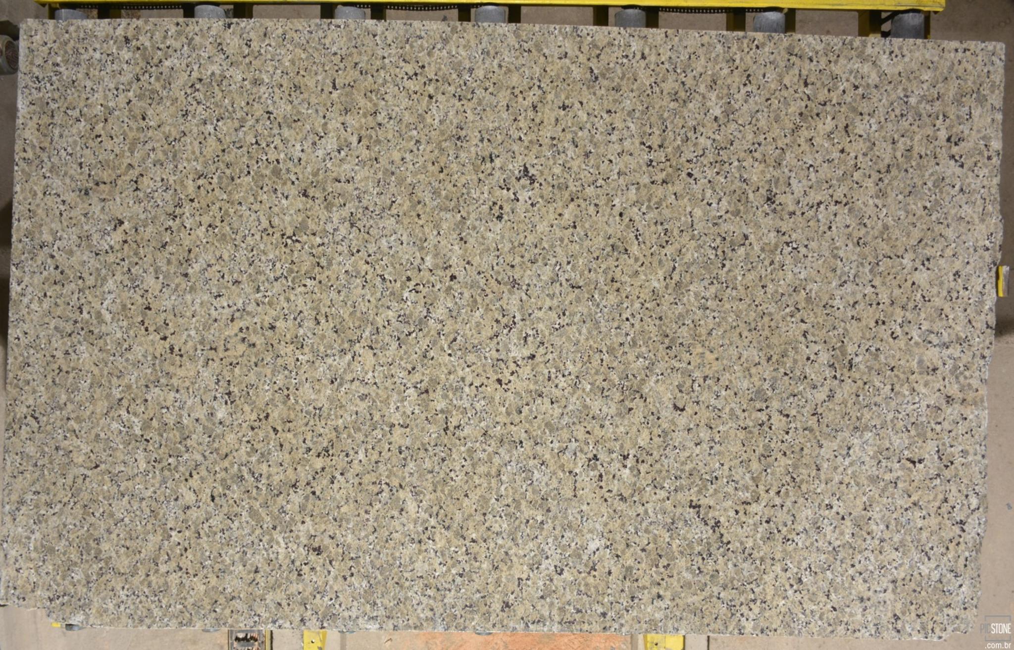 Butterfly Beige Granite Slab