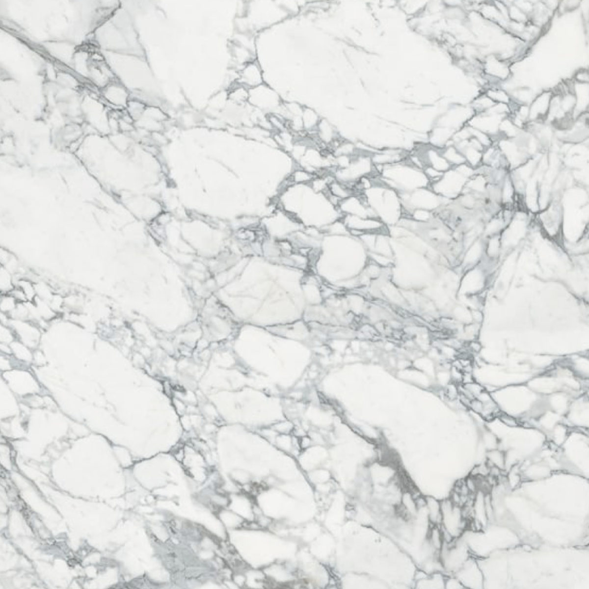 Calacatta Arabescato Porcelain