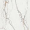 Calacatta Oro Infinity Porcelain