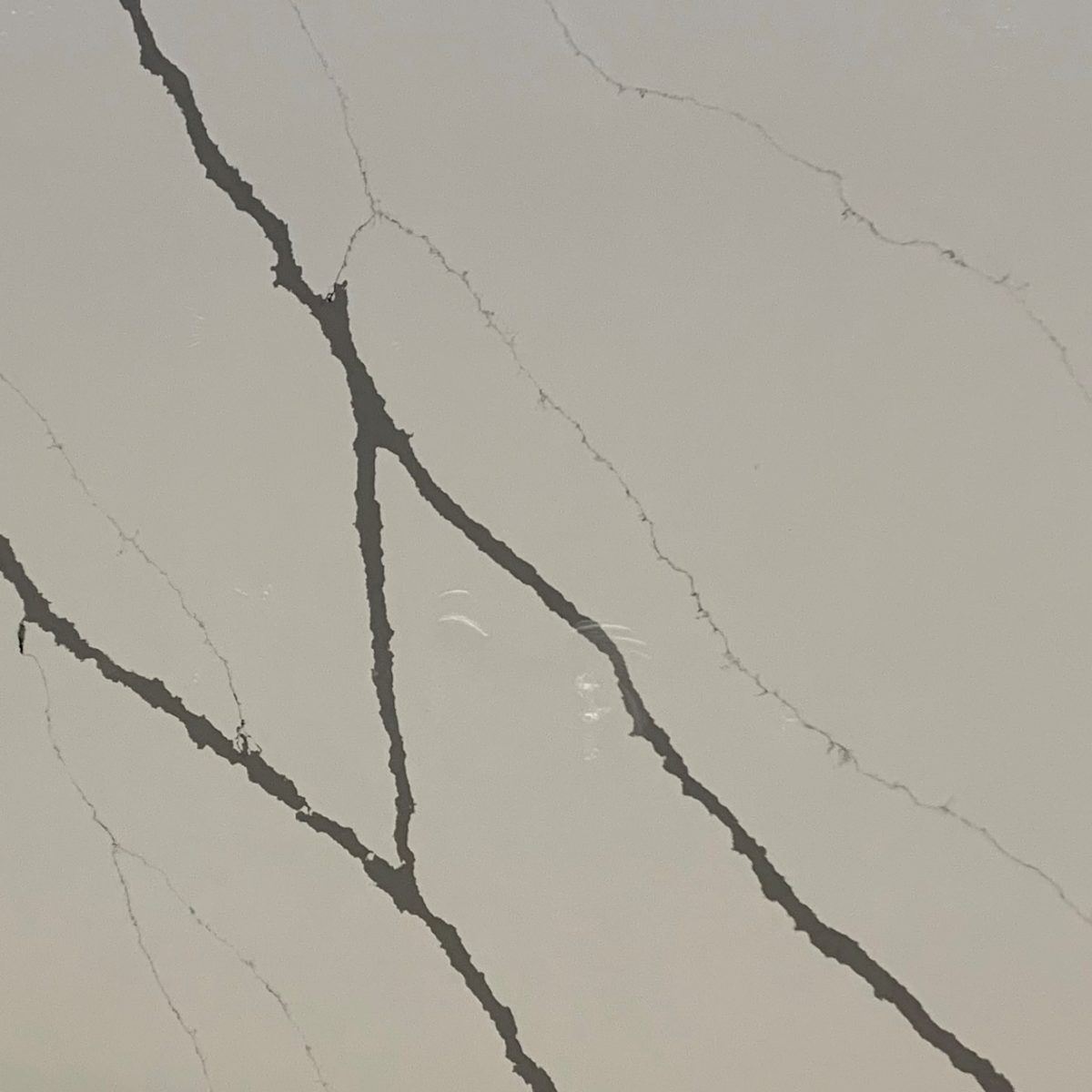 Calcatta Bologna Quantum Quartz 1