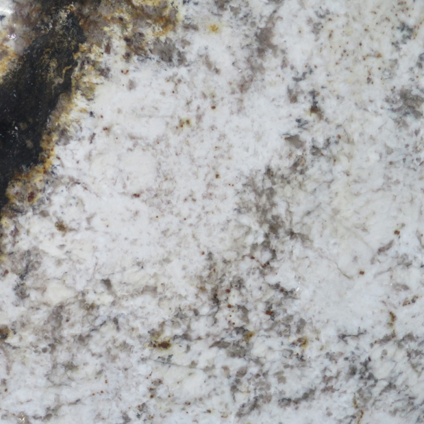 Crema Regio Granite