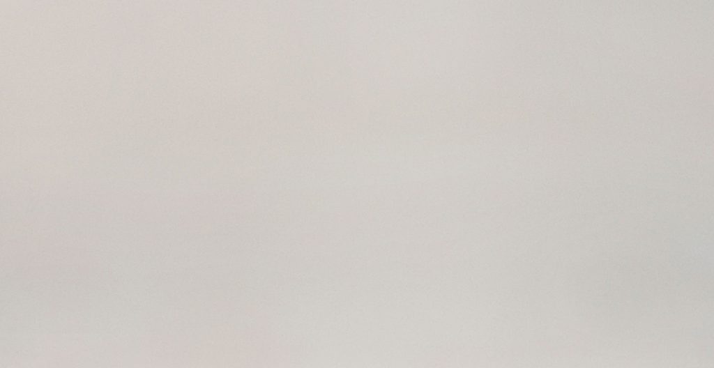 Denali LG Viatera Quartz Full Slab