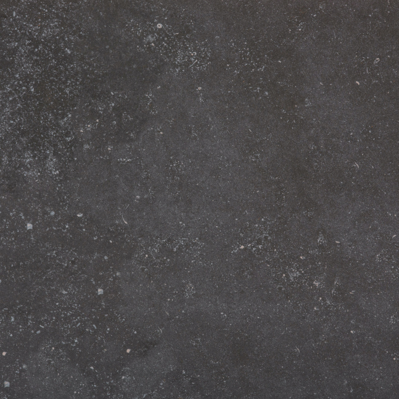 Fossil Dekton Detail