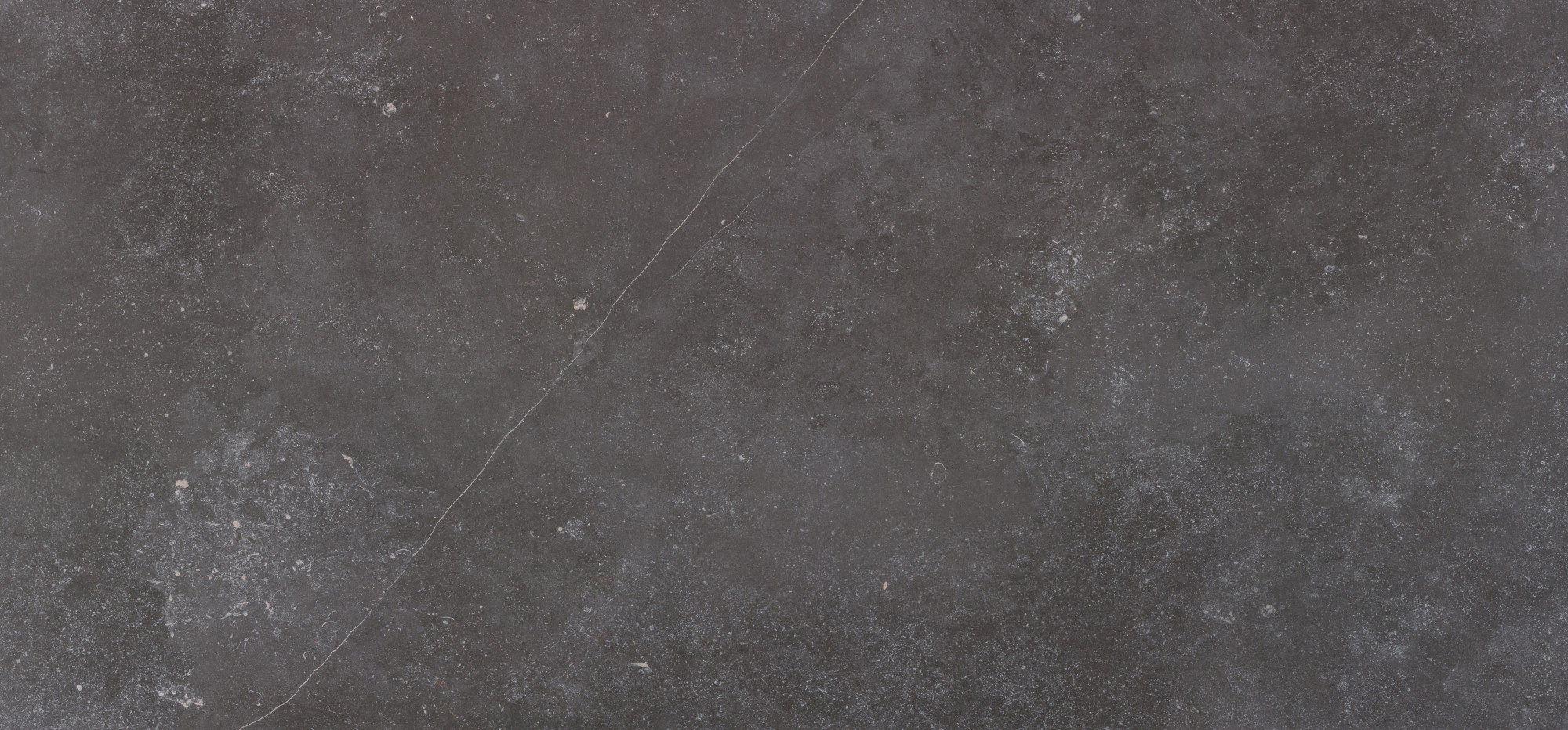 Fossil Dekton Full Slab