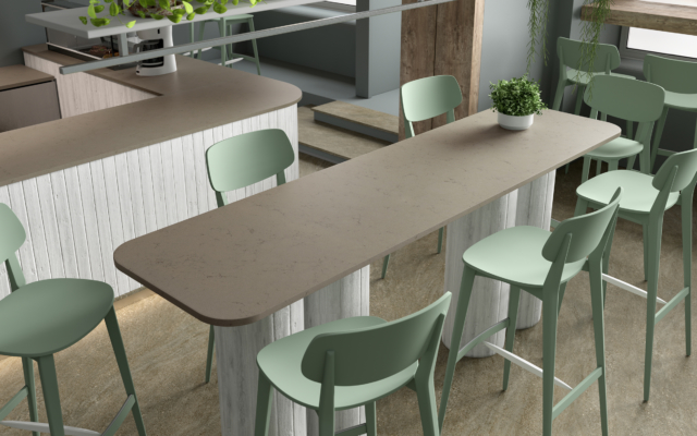 Gray Forest LG Viatera Quartz Countertops