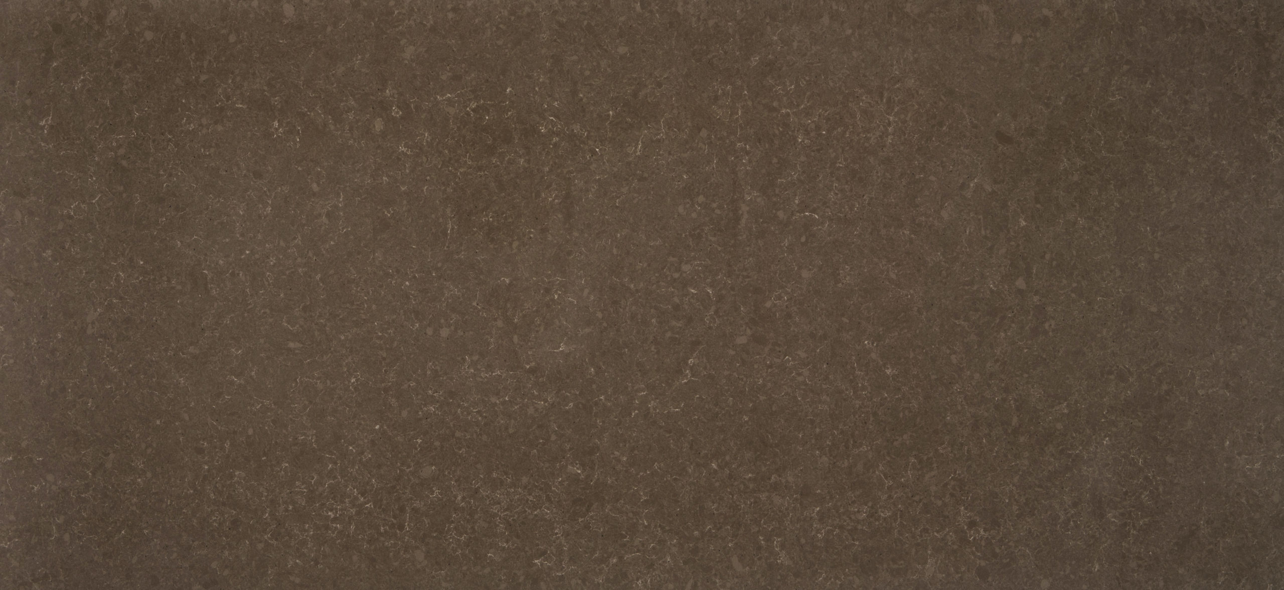 Ironbark Silestone Quartz Full Slab