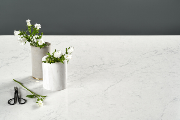 Karis LG Viatera Quartz Countertops