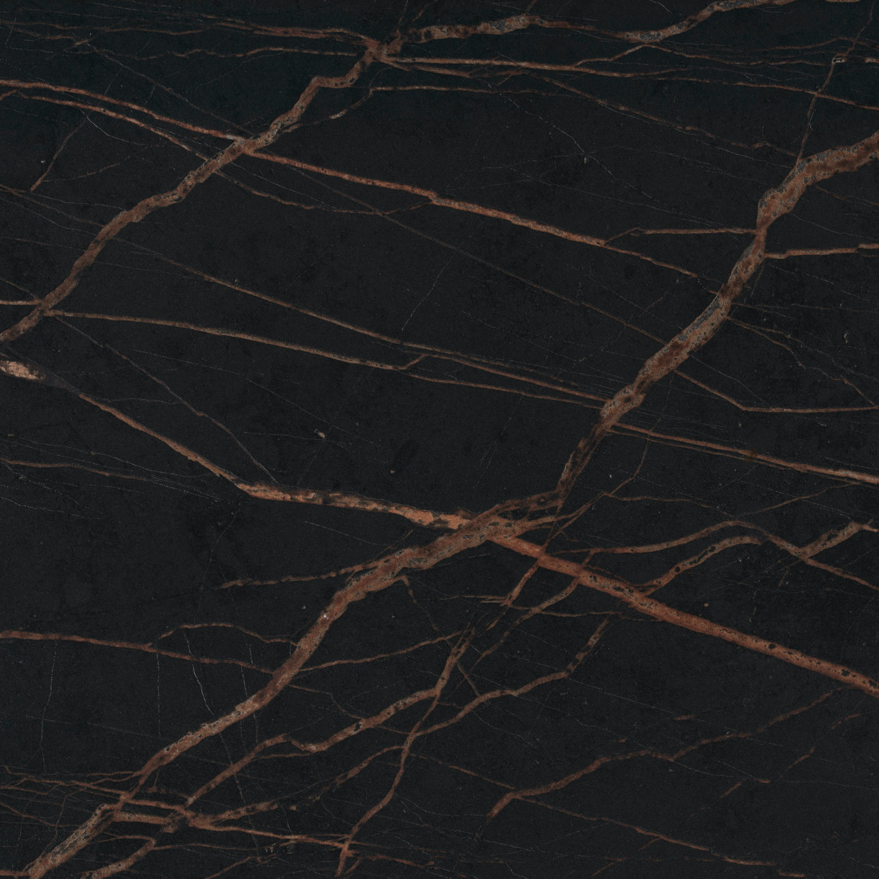 Laurent Dekon Detail