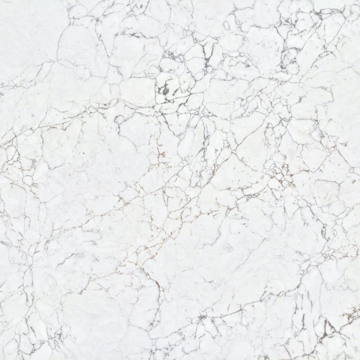 Pleione Quantum Quartz