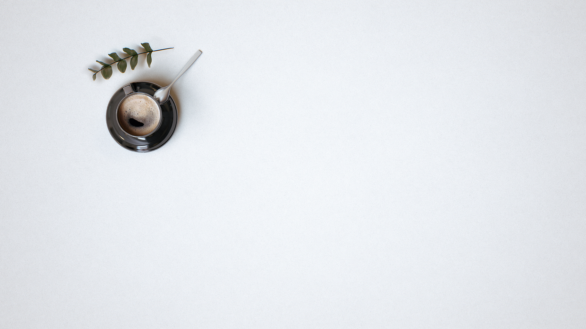 Porcelain White LG Viatera Quartz Countertops