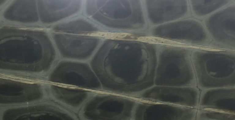 Tartaruga Quartzite Full Slab